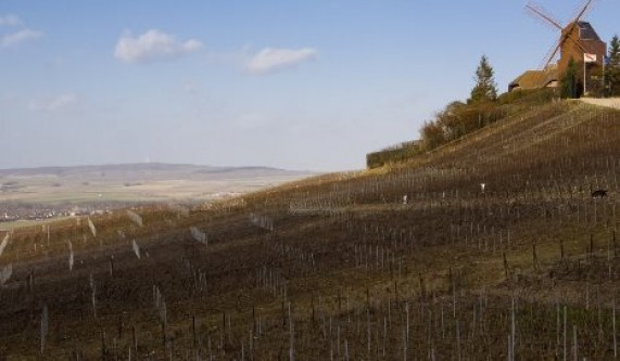 Wines of Northern France