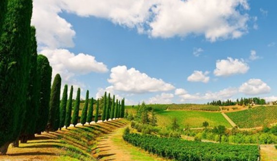 Italian Wine Scholar - Southern Italy