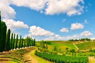 Italian Wine Scholar - Southern Italy