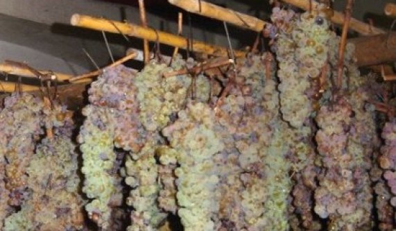 Blind Tasting Bubbles, Botrytis & Fortified Wines