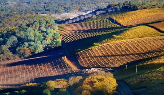 Intro to California Wines