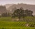 Sonoma County Wine