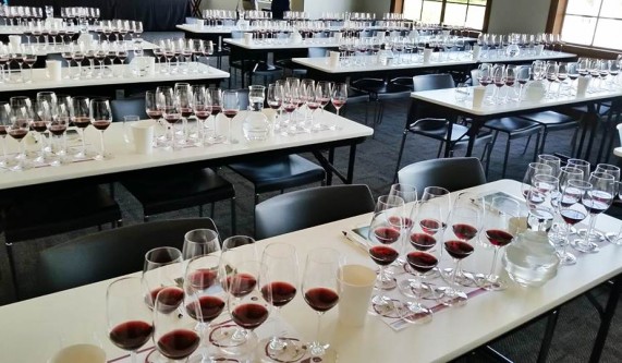 San Francisco Wine School