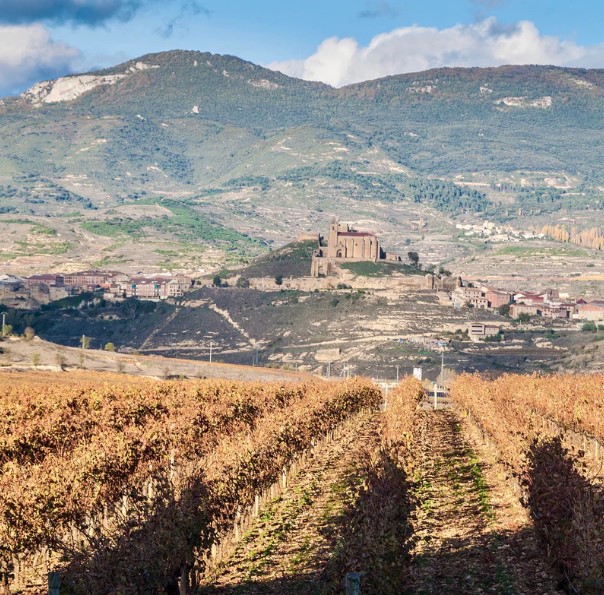 Warm Climate Wines of the World