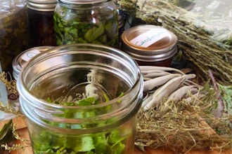 Plant Medicine: Herbal Tincture Making Fundamentals
