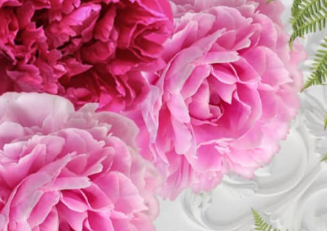 Botanical Peony Garden