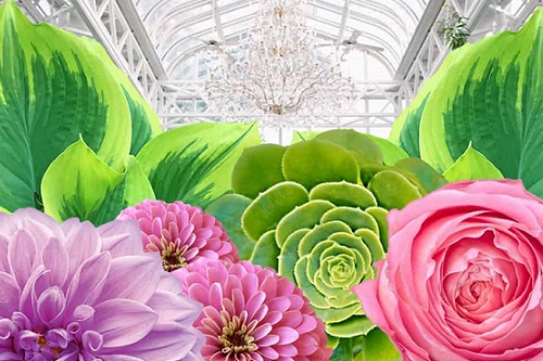 Greenhouse Glam