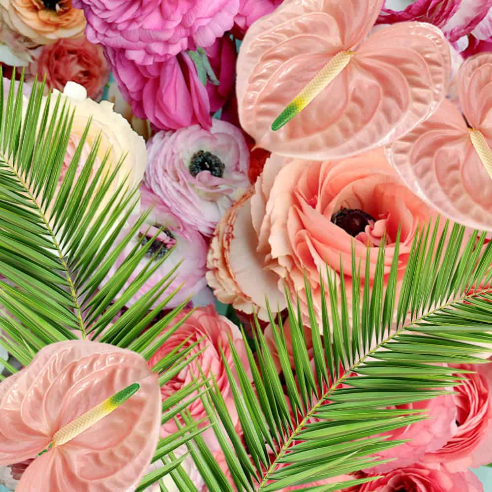 Tropical Twist