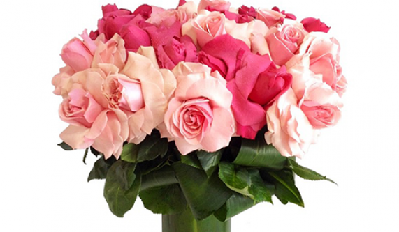 La Vie En Rose