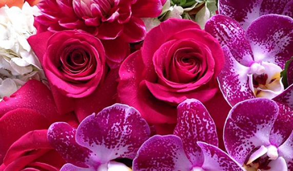 Wall Flowers