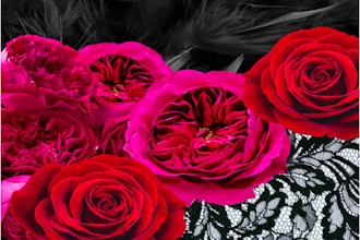 Virtual Floral Art: Venetian Masquerade