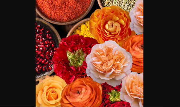 Virtual Floral Art: Moroccan Spice