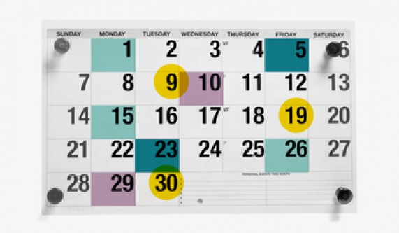 Project Management Bootcamp