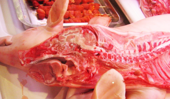 In-Depth Tour of the Whole Pig