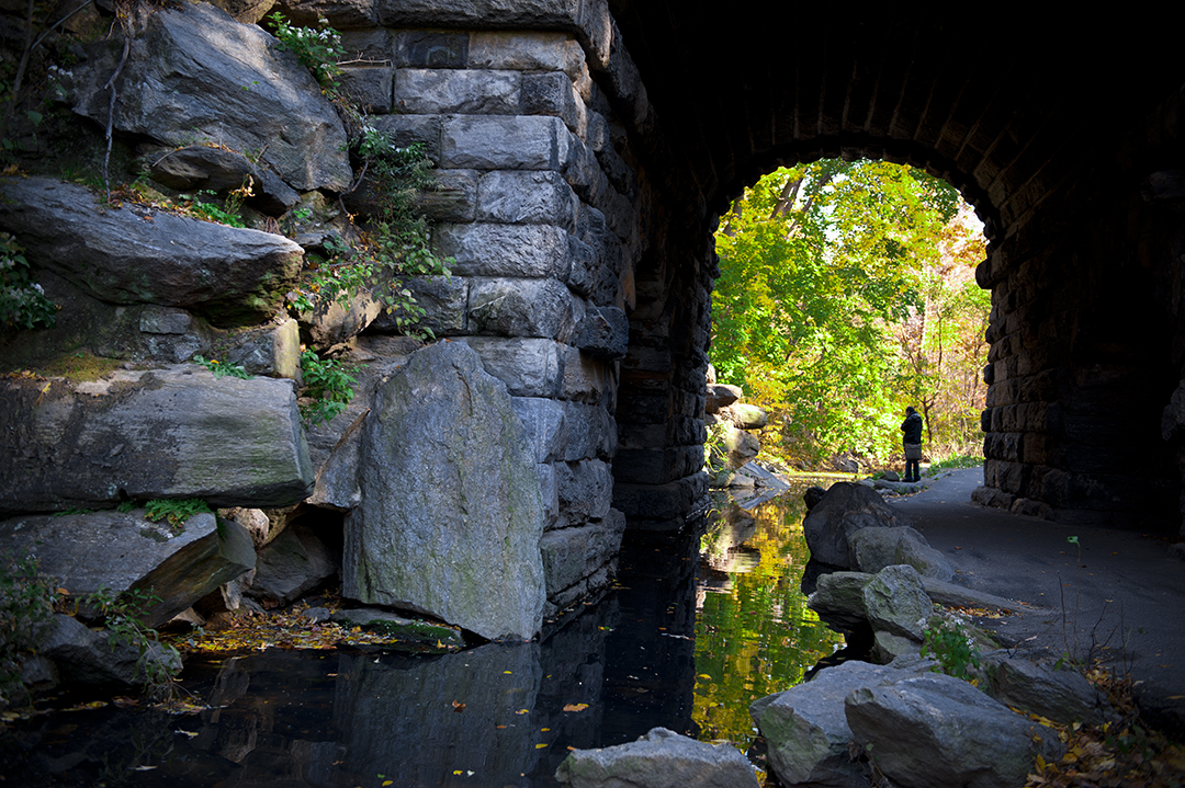 Location Photography Workshop: Central Park