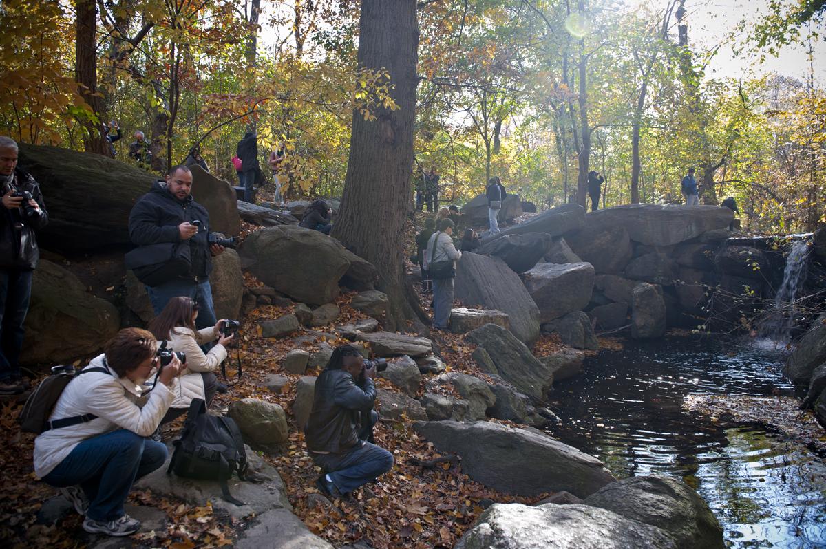 Central Park East Fall Colors Workshop