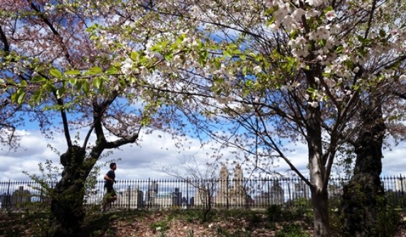 Location Photography Workshop: Central Park
