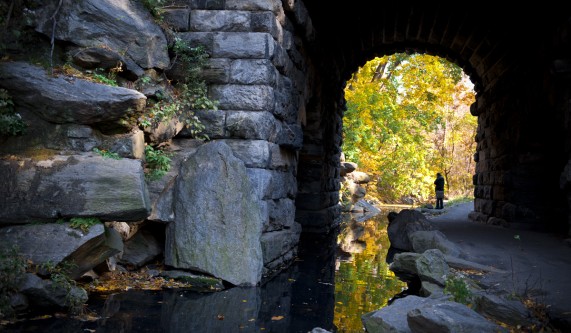 Central Park East Fall Colors Workshop