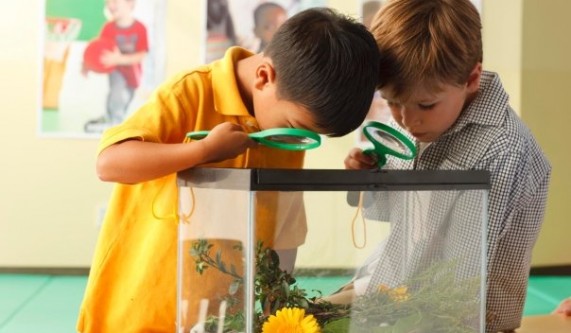 School Skills (Ages 3-5yrs)