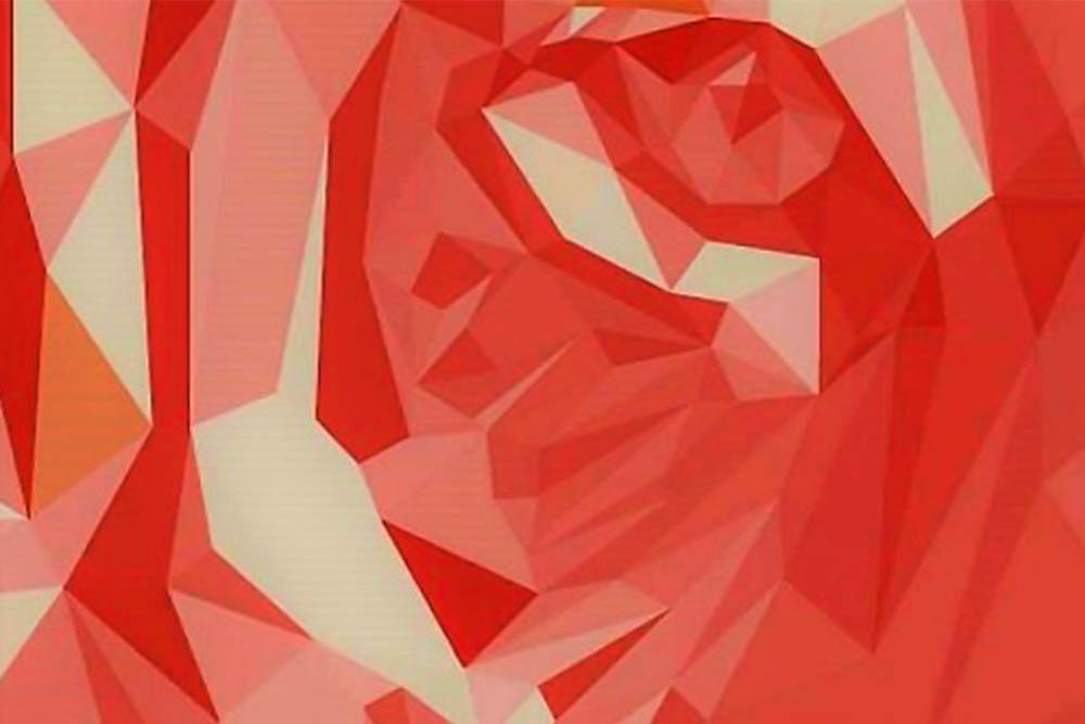 Illustrator Training: Essential Skills 1