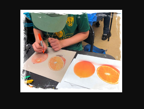Comics, Cartoons And Manga Drawing (Ages 10-16)