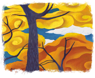 1-Time Fear-Free Drawing in Color Workshop: Oil Pastels! Class for Beginners