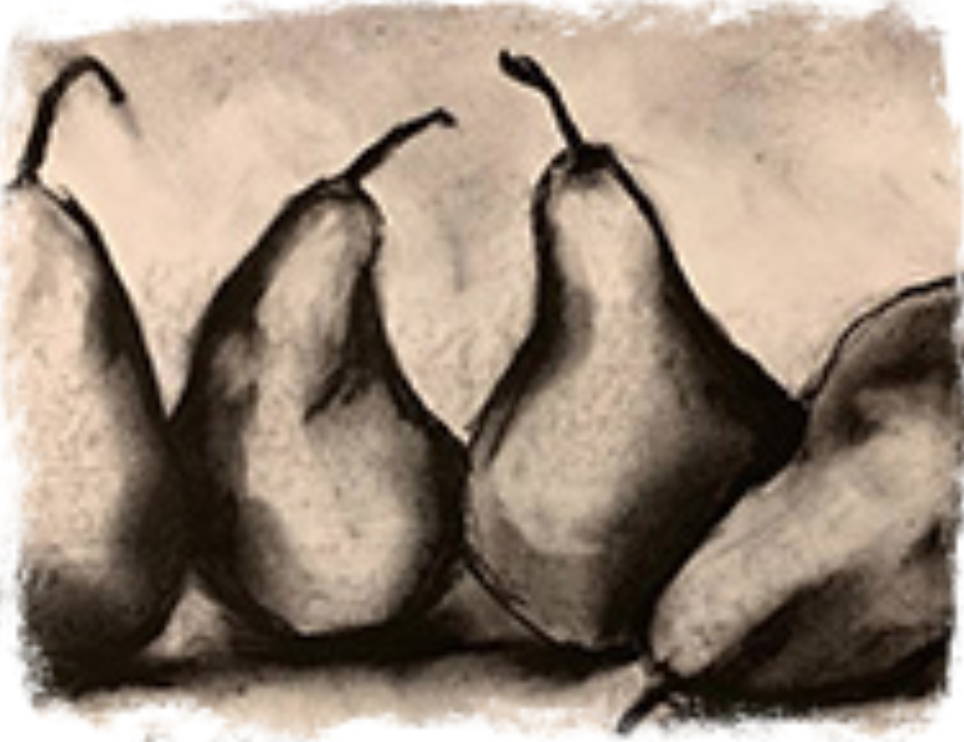 Fear-Free Beginners Drawing: All Levels