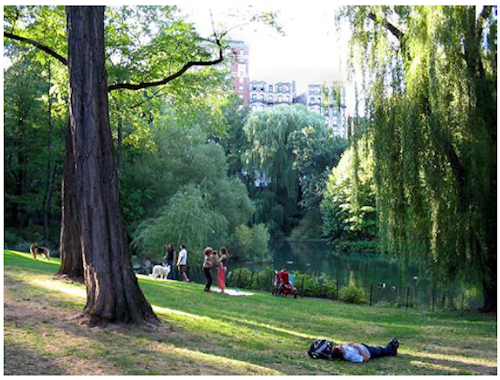 1-Time Total Beginners Watercolor Painting Art in Central Park