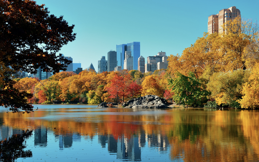 central park 2.png