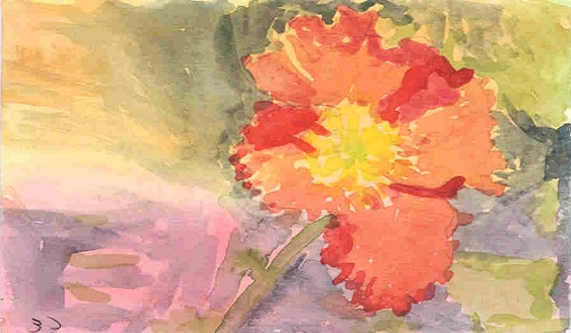 Flower Workshop