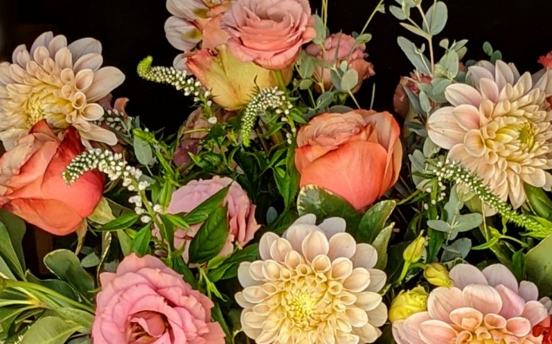 Dahlias and more Dahlias