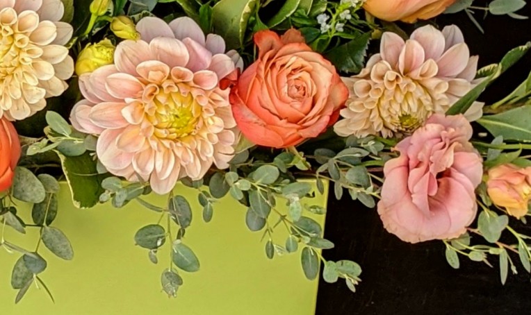 Dahlias and more Dahlias