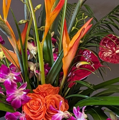 Orchids & Tropical Flowers