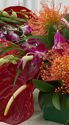 Orchids & Tropical Flowers