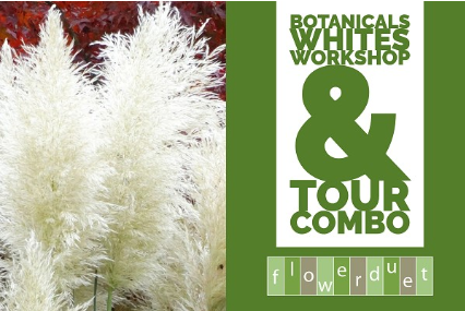 Botanicals + Whites Workshop & Tour Combo