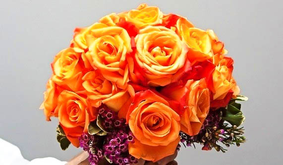 The World of Flowers: Floral Design Sampler