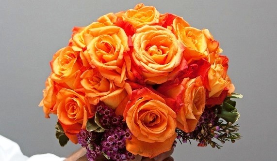 The World of Flowers: Floral Design Sampler