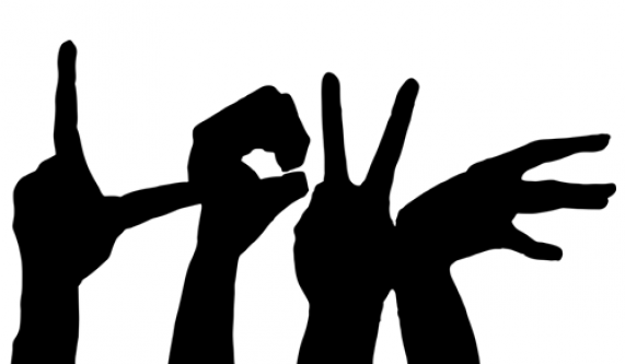American Sign Language II