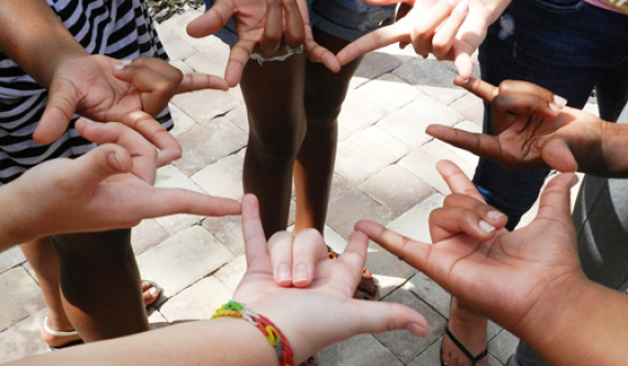 American Sign Language Beginner