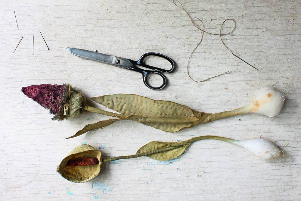 Botanical Specimens 102