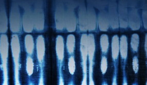 Blue Thread Workshop