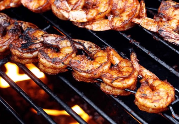 BBQ & Grill Primer
