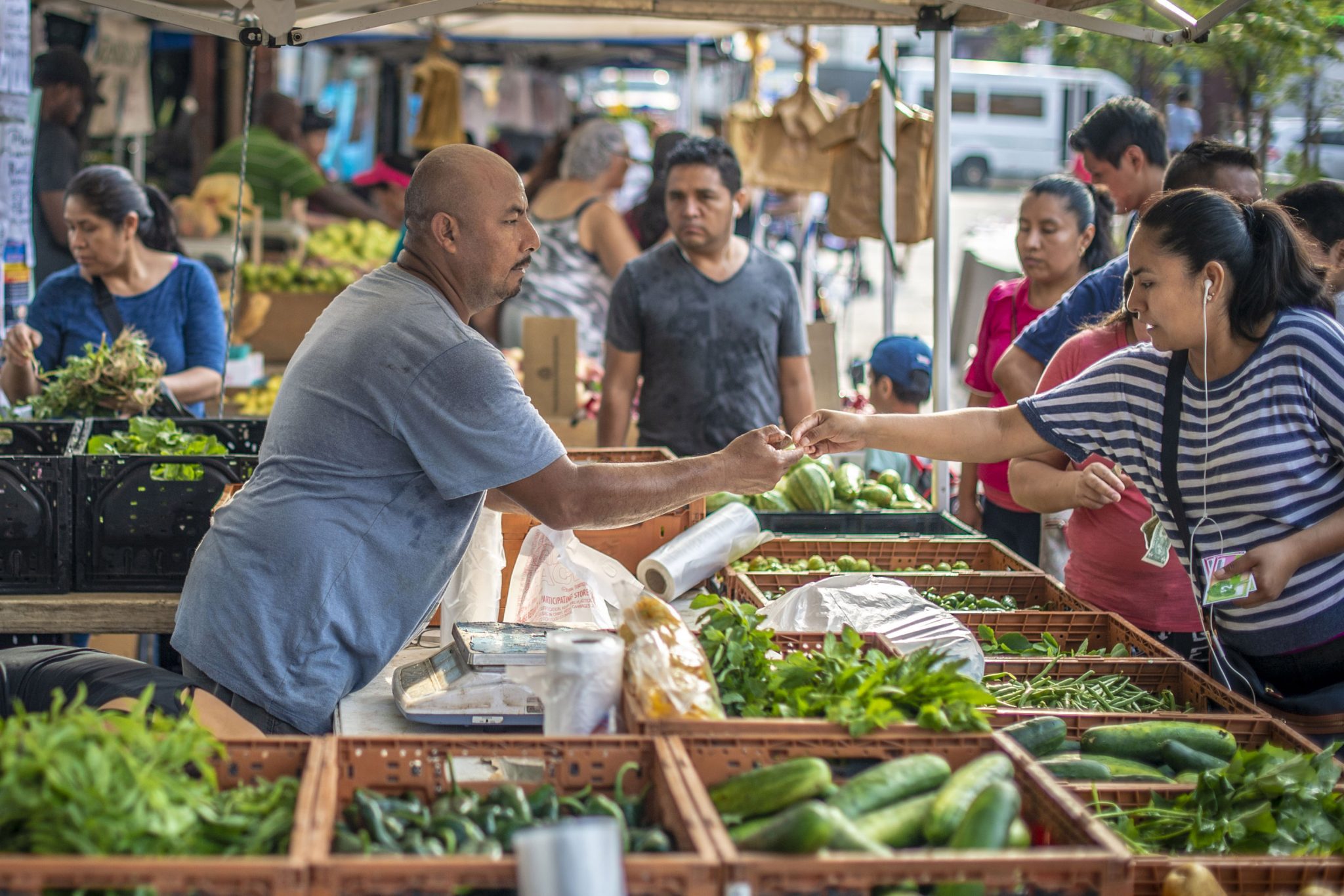Farm to Table