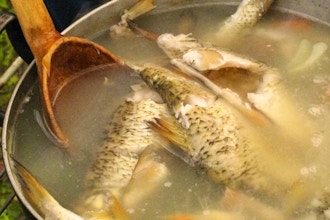 Bone Broth, Stock and Soup