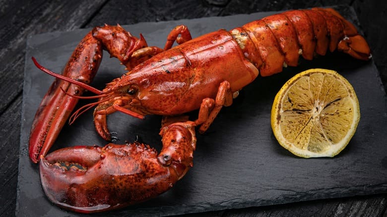 Spotlight on Lobster Rolls