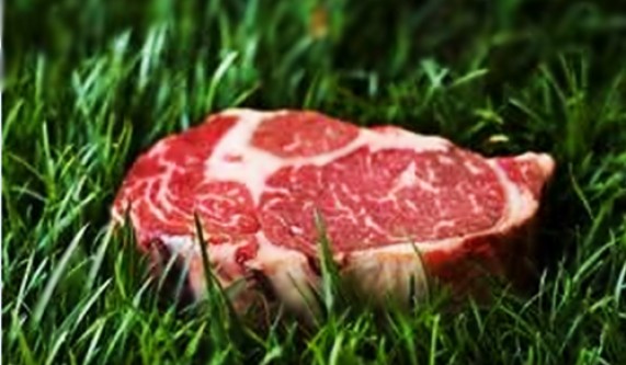 Good Food: What to Eat & Where to Shop