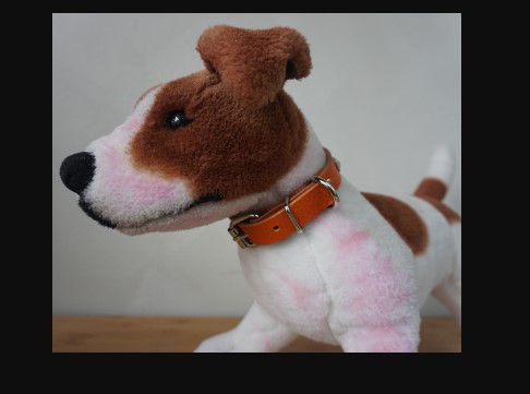 Dog / Pet Harness / Collar