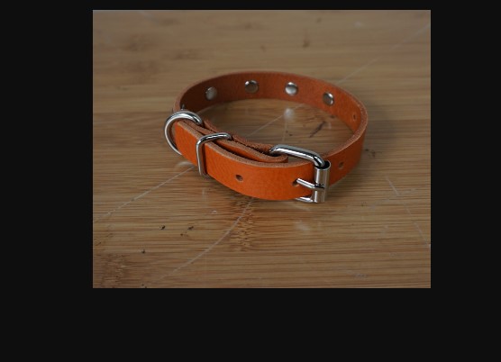 Dog / Pet Harness / Collar