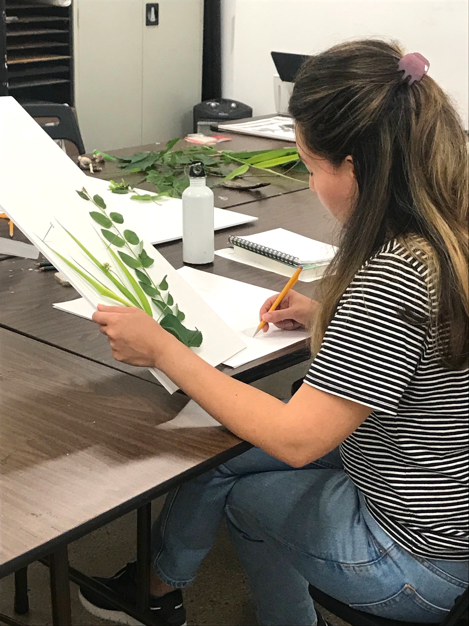Contemporary Botanical Drawing
