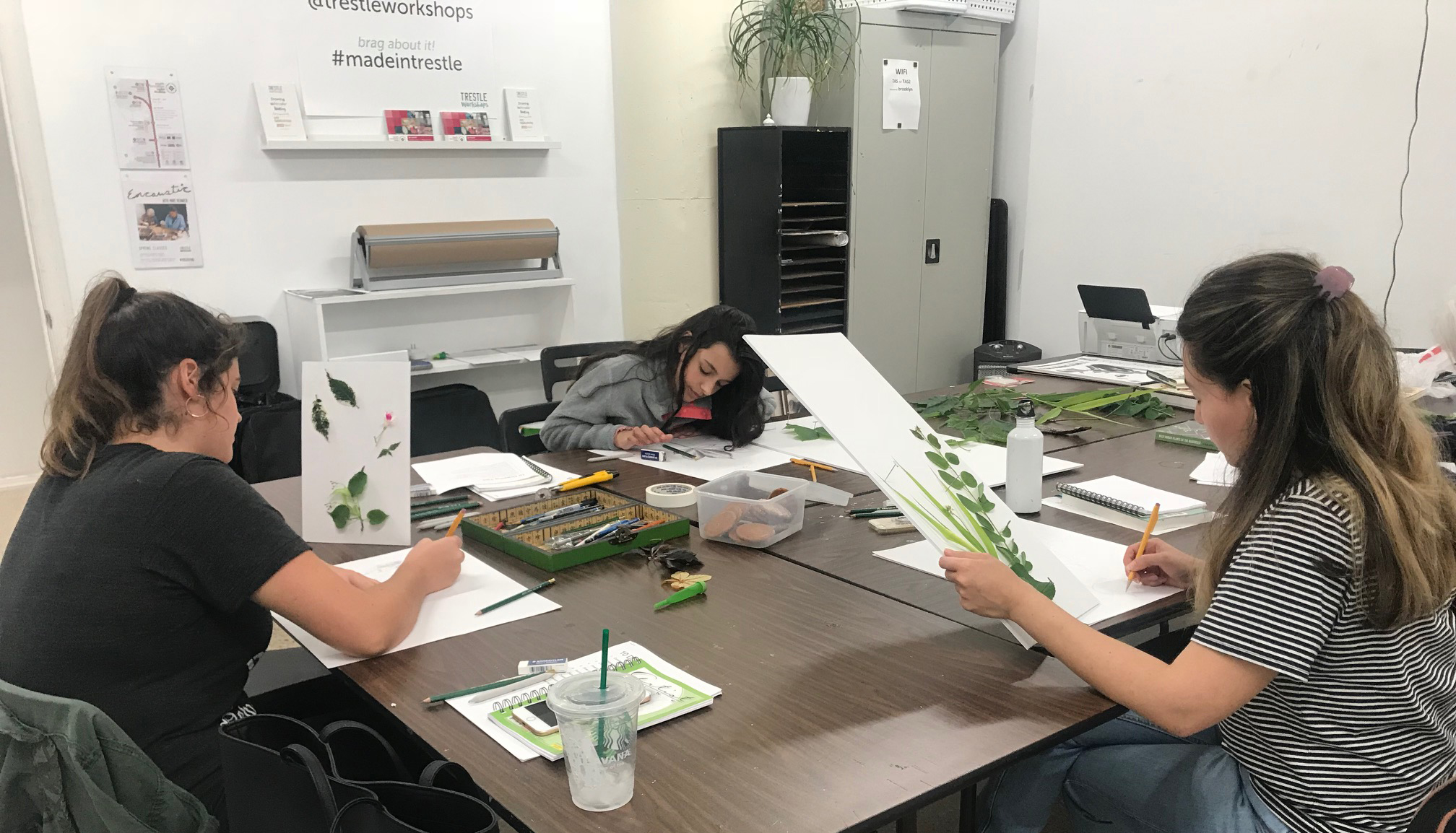 Contemporary Botanical Drawing